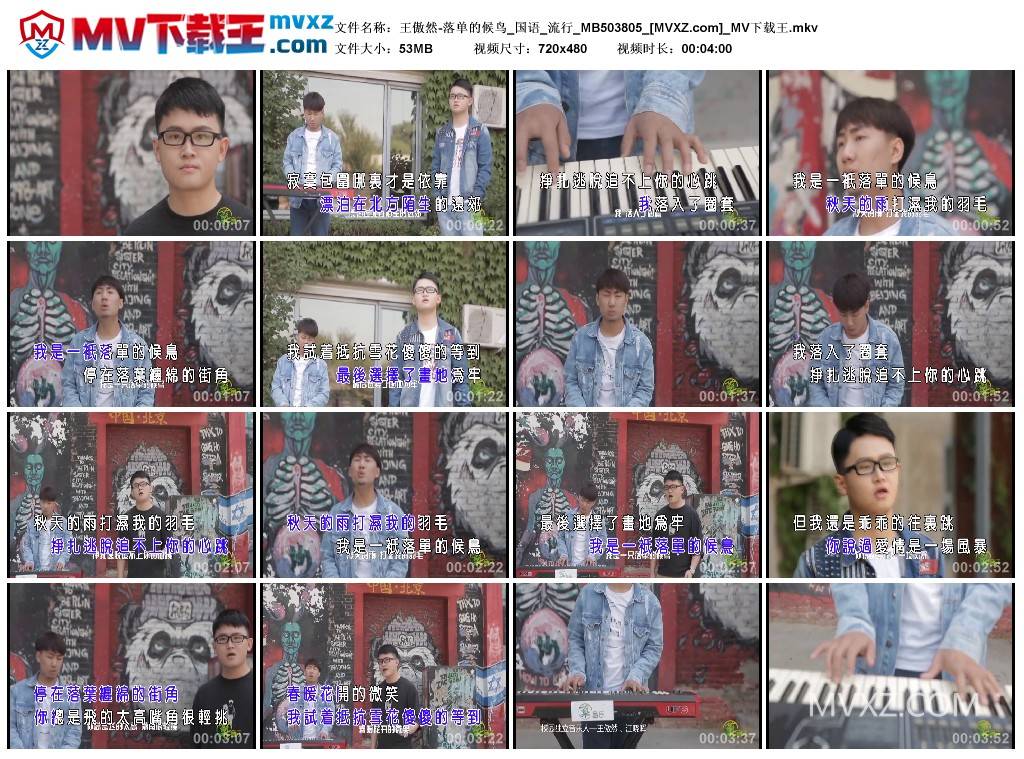 王傲然-落单的候鸟_国语_流行_MB503805